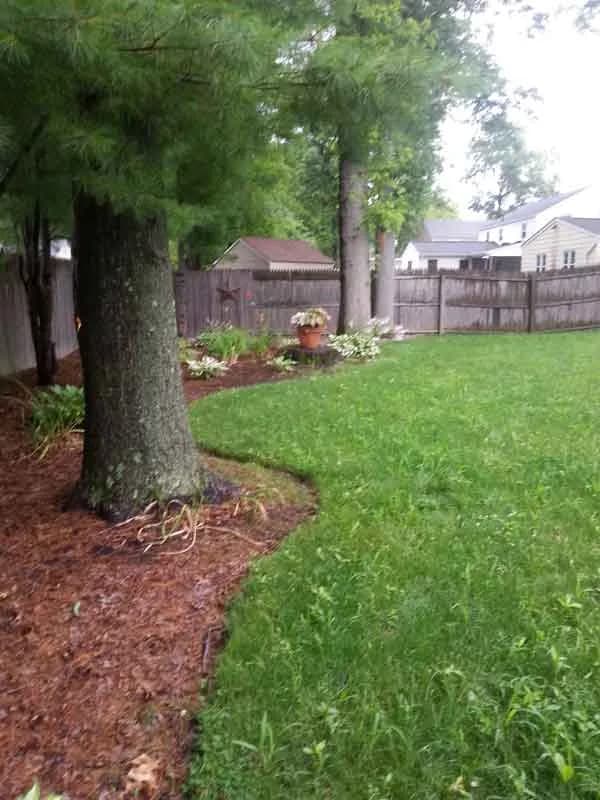 Same backyard after CT Drainage Pros completed drainage installation. Lawn is dry and restored.