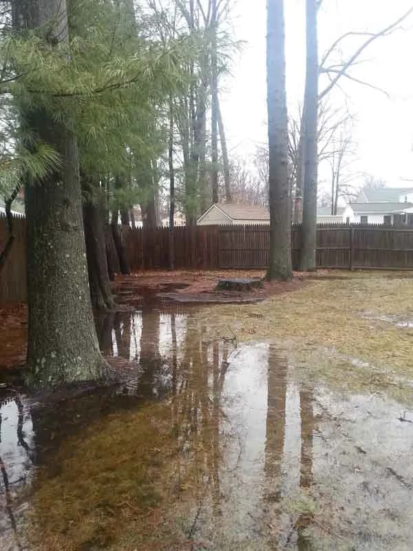 Backyard with significant standing water and drainage issues, before CT Drainage Pros installed a drainage solution.